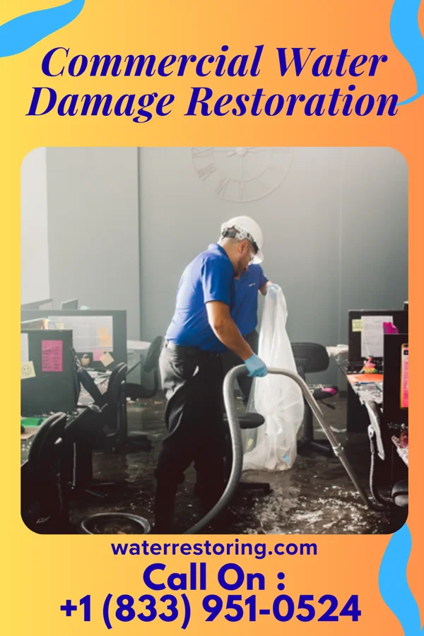 Commercial Water Damage Restoration in Osseo, MN