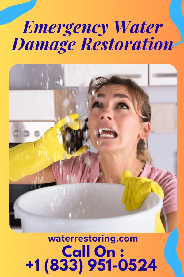 Emergency Water Damage Restoration in Osseo, MN